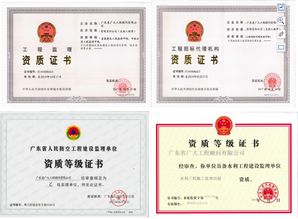 男兒當自強 潘康恒以自力更生之志，在政府采購代理服務中開創自主創業新篇章