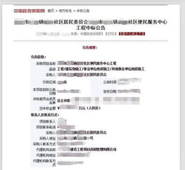 社區(qū)居民委員會(huì)工程采購(gòu)是否屬于政府采購(gòu)行為——兼論政府采購(gòu)代理服務(wù)的邊界